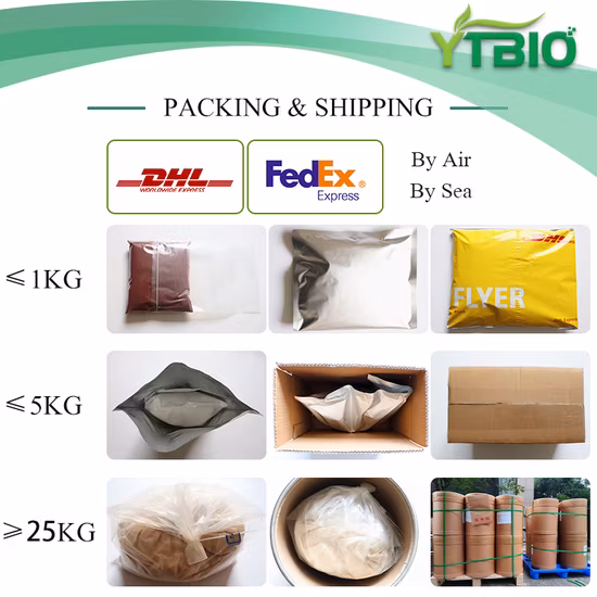 천연 분무건조 및 동결건조 혼합 과일 및 채소 분말